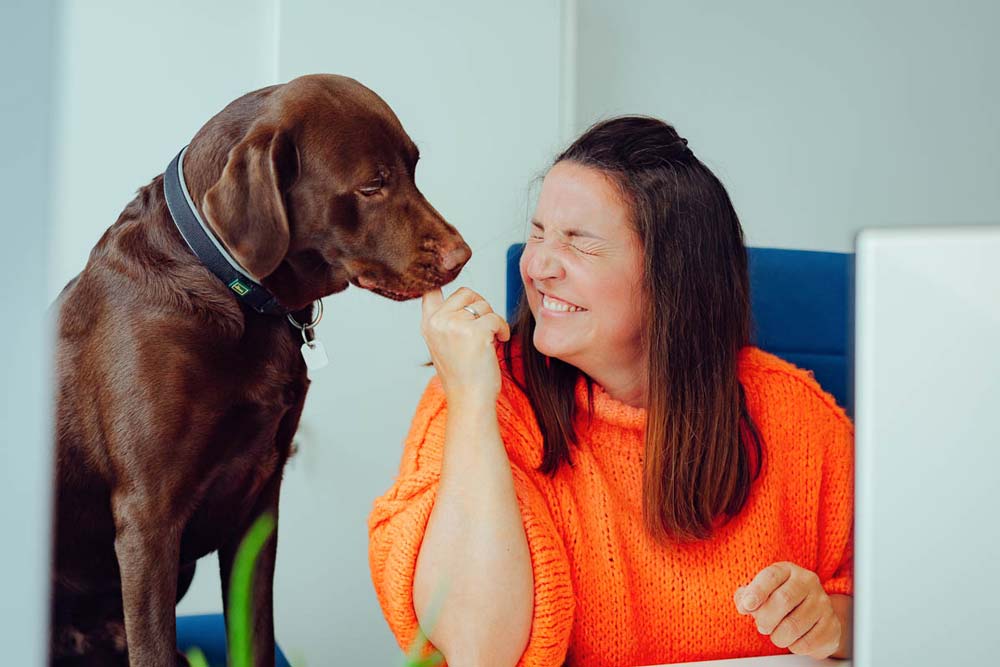 lachende Frau am Schreibtisch mit Bürohund" title="Conny mit Bürohund Franz